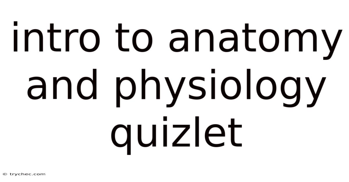 Intro To Anatomy And Physiology Quizlet