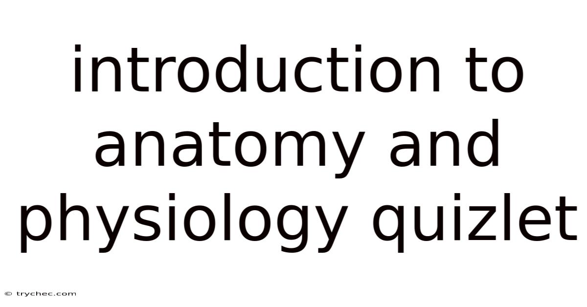 Introduction To Anatomy And Physiology Quizlet
