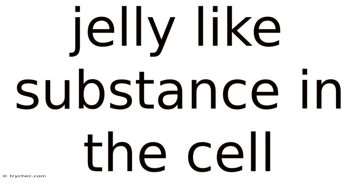Jelly Like Substance In The Cell