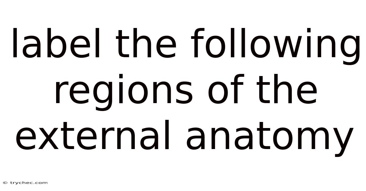 Label The Following Regions Of The External Anatomy