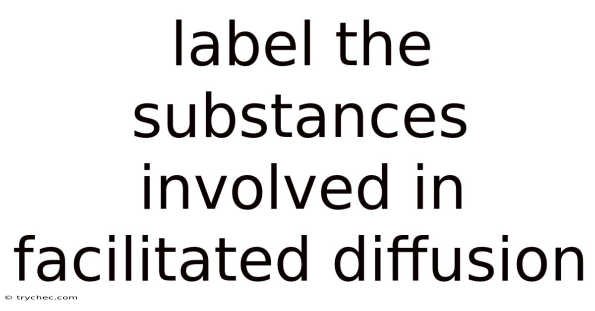 Label The Substances Involved In Facilitated Diffusion