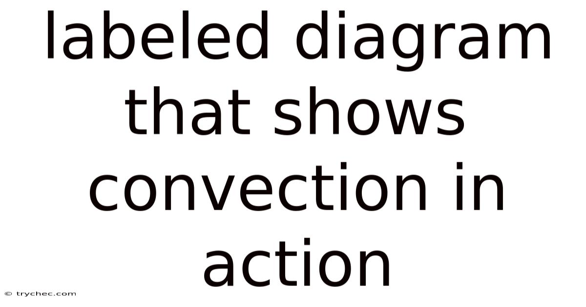 Labeled Diagram That Shows Convection In Action