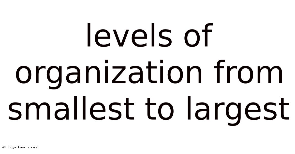 Levels Of Organization From Smallest To Largest