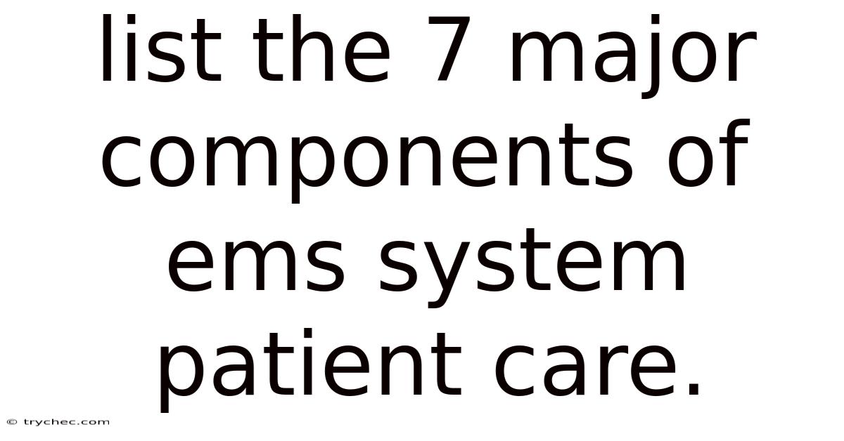 List The 7 Major Components Of Ems System Patient Care.