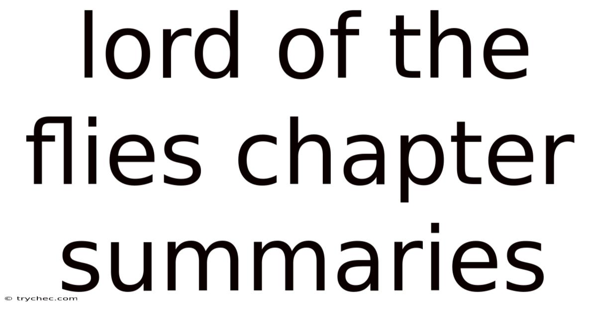 Lord Of The Flies Chapter Summaries