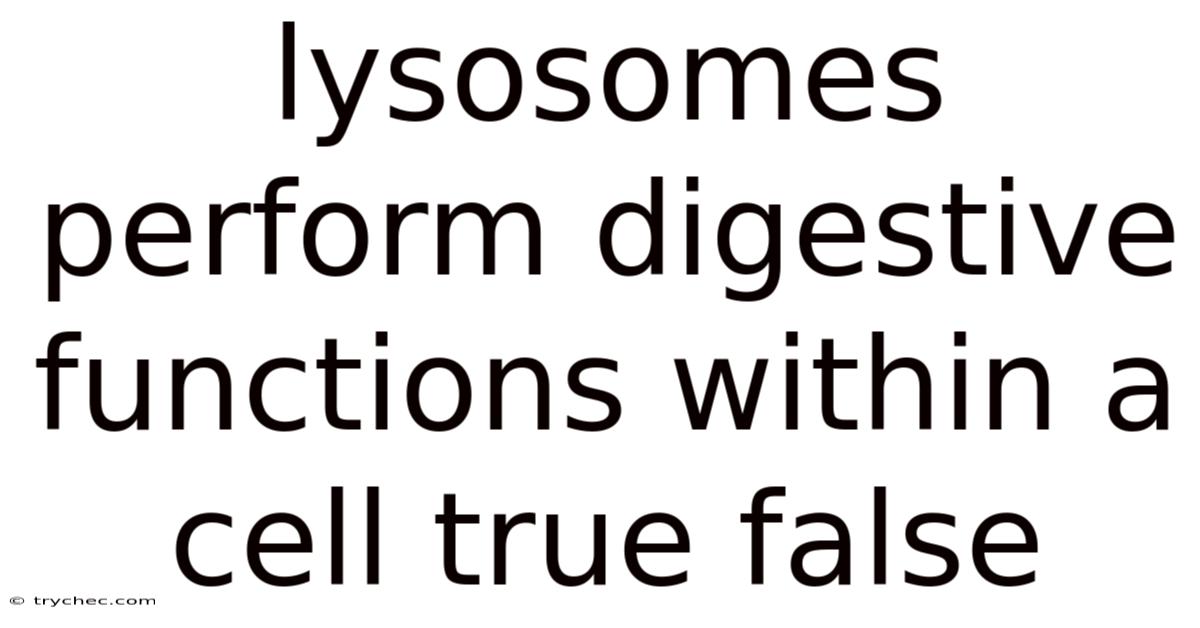 Lysosomes Perform Digestive Functions Within A Cell True False
