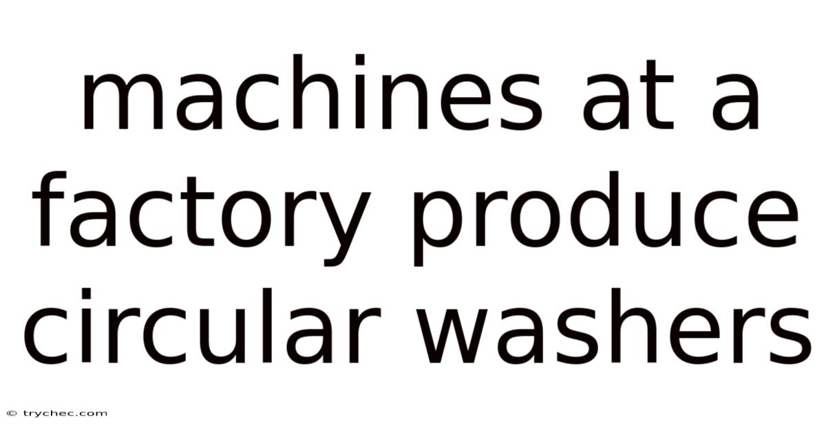 Machines At A Factory Produce Circular Washers