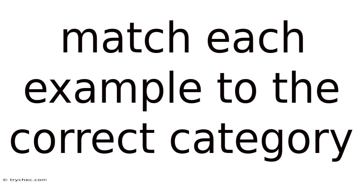 Match Each Example To The Correct Category
