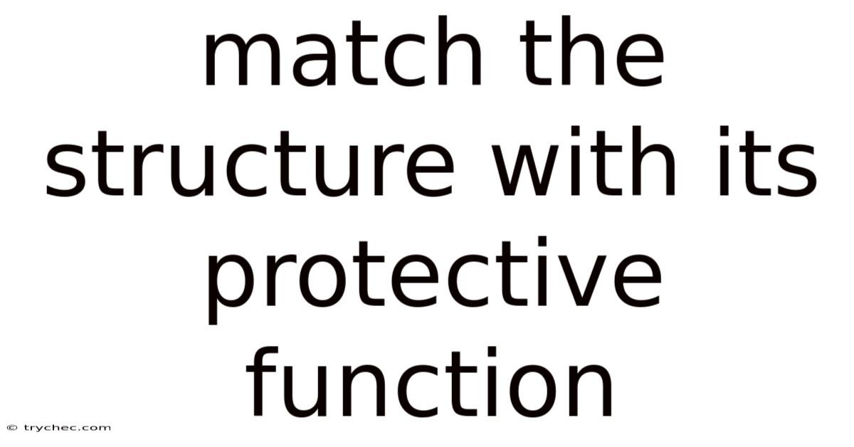 Match The Structure With Its Protective Function