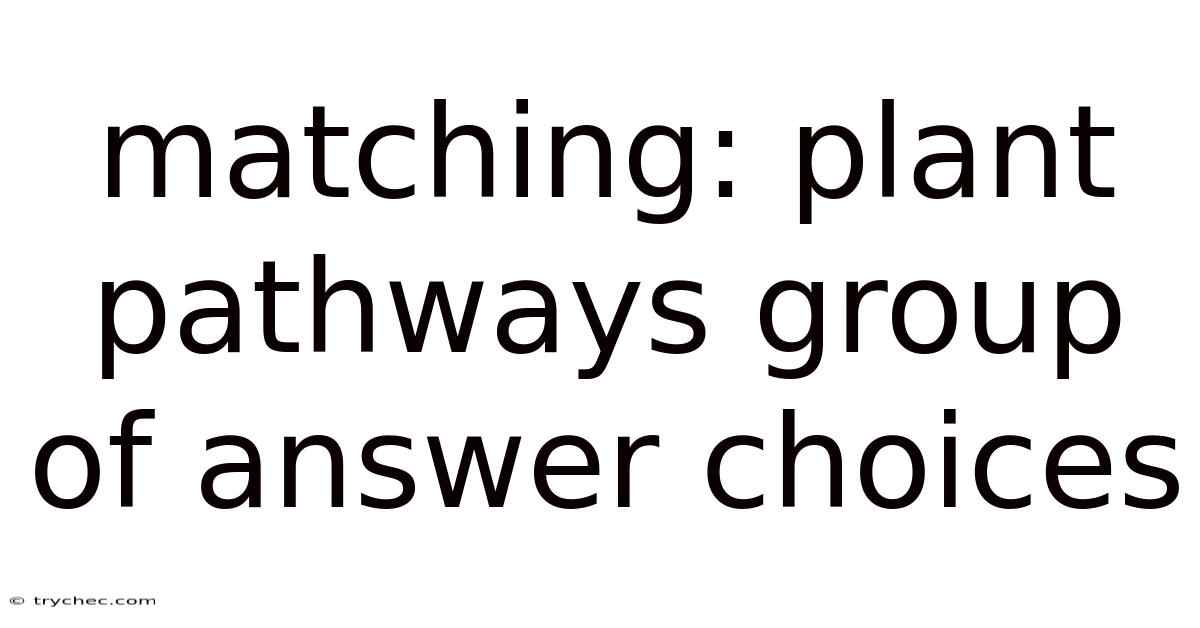 Matching: Plant Pathways Group Of Answer Choices