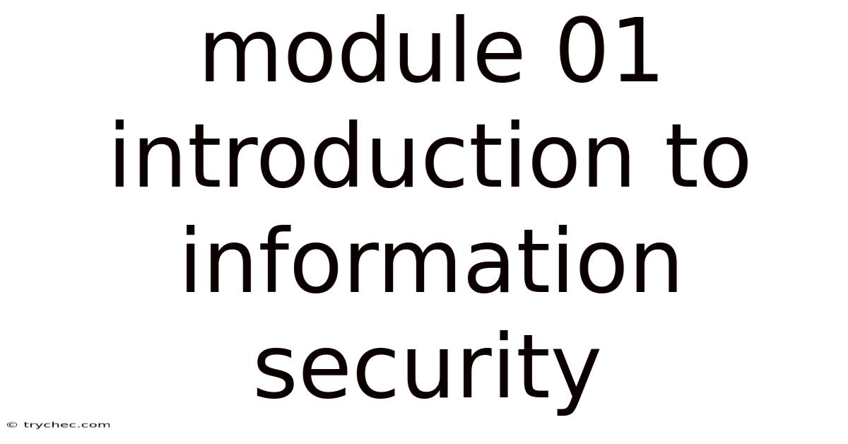 Module 01 Introduction To Information Security