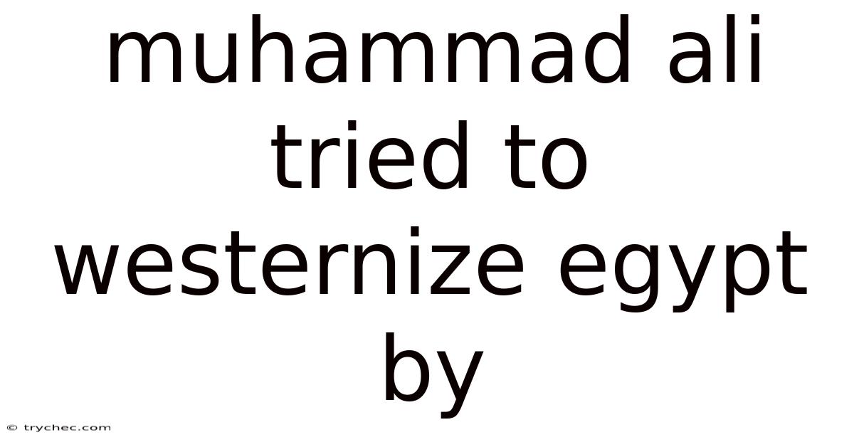 Muhammad Ali Tried To Westernize Egypt By