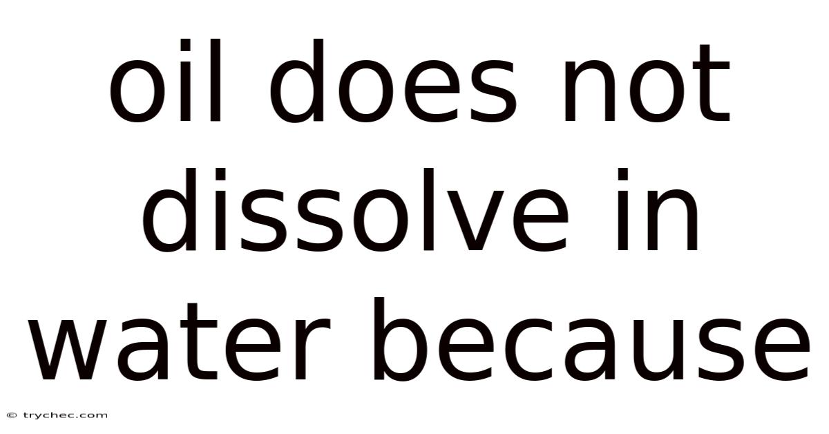 Oil Does Not Dissolve In Water Because