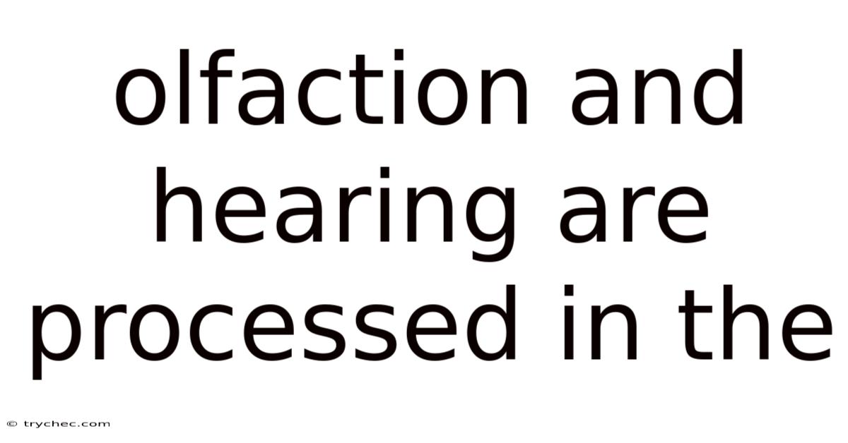 Olfaction And Hearing Are Processed In The
