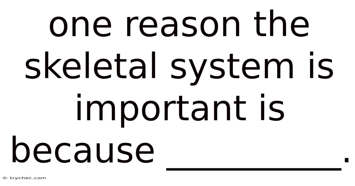 One Reason The Skeletal System Is Important Is Because __________.