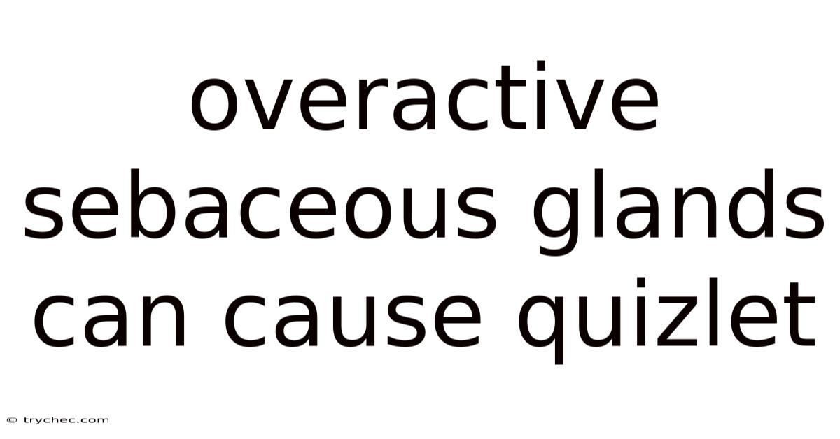 Overactive Sebaceous Glands Can Cause Quizlet