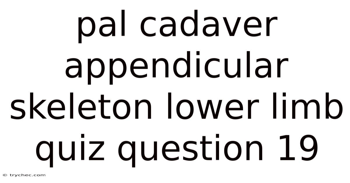 Pal Cadaver Appendicular Skeleton Lower Limb Quiz Question 19