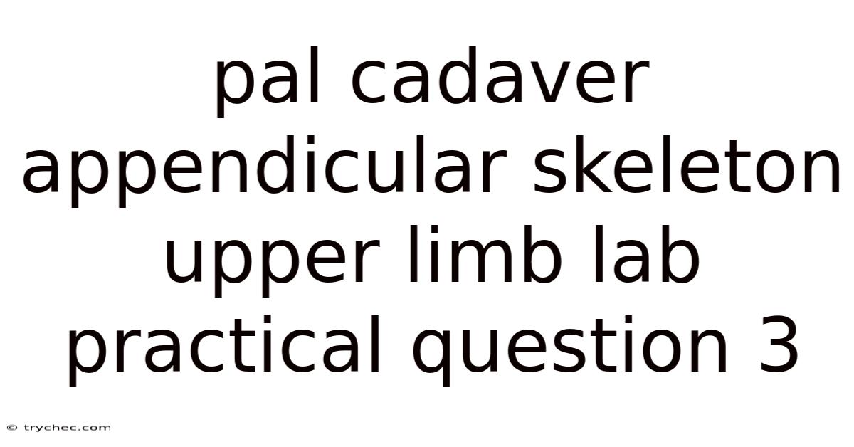Pal Cadaver Appendicular Skeleton Upper Limb Lab Practical Question 3