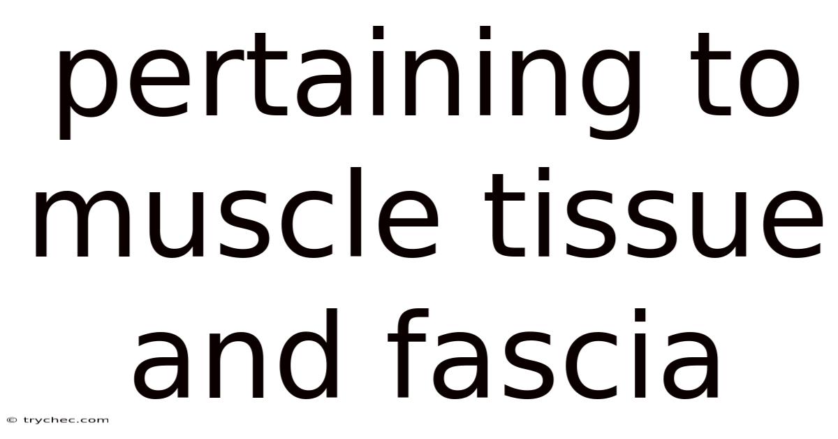 Pertaining To Muscle Tissue And Fascia
