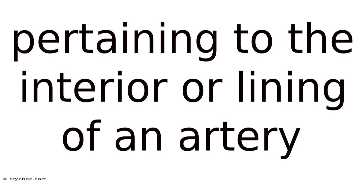 Pertaining To The Interior Or Lining Of An Artery