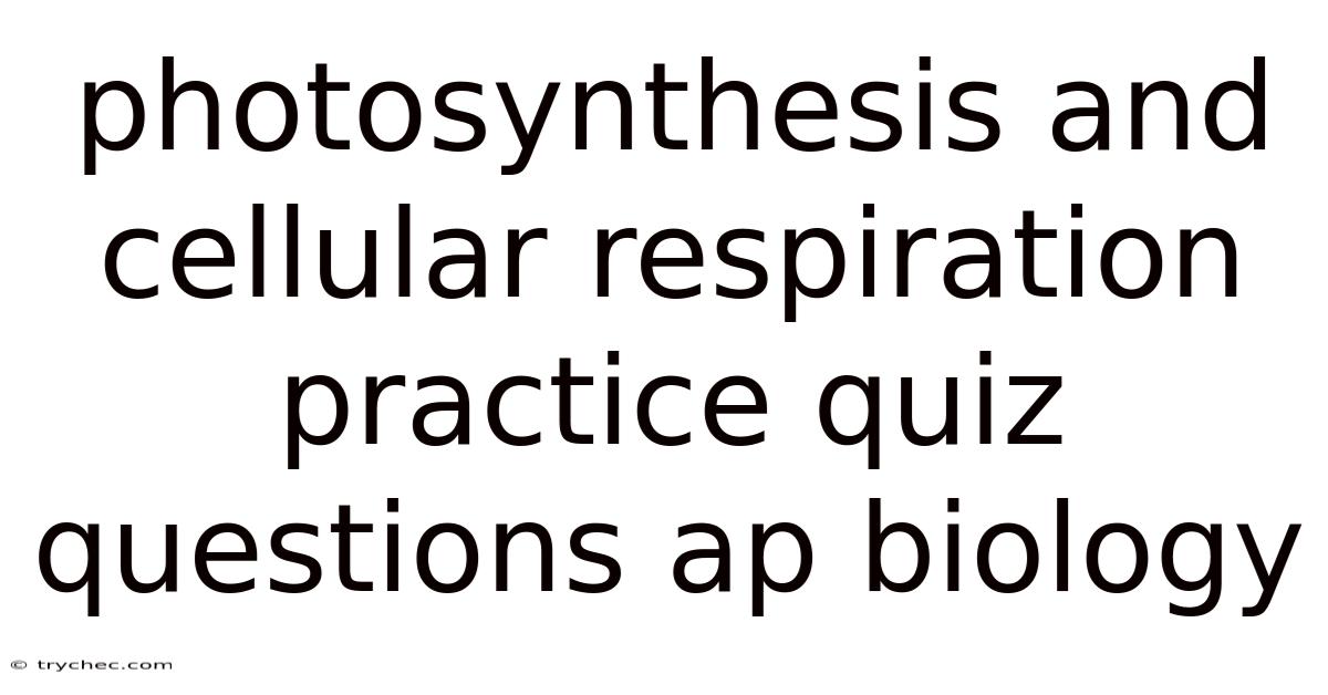 Photosynthesis And Cellular Respiration Practice Quiz Questions Ap Biology