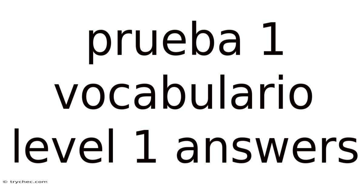 Prueba 1 Vocabulario Level 1 Answers