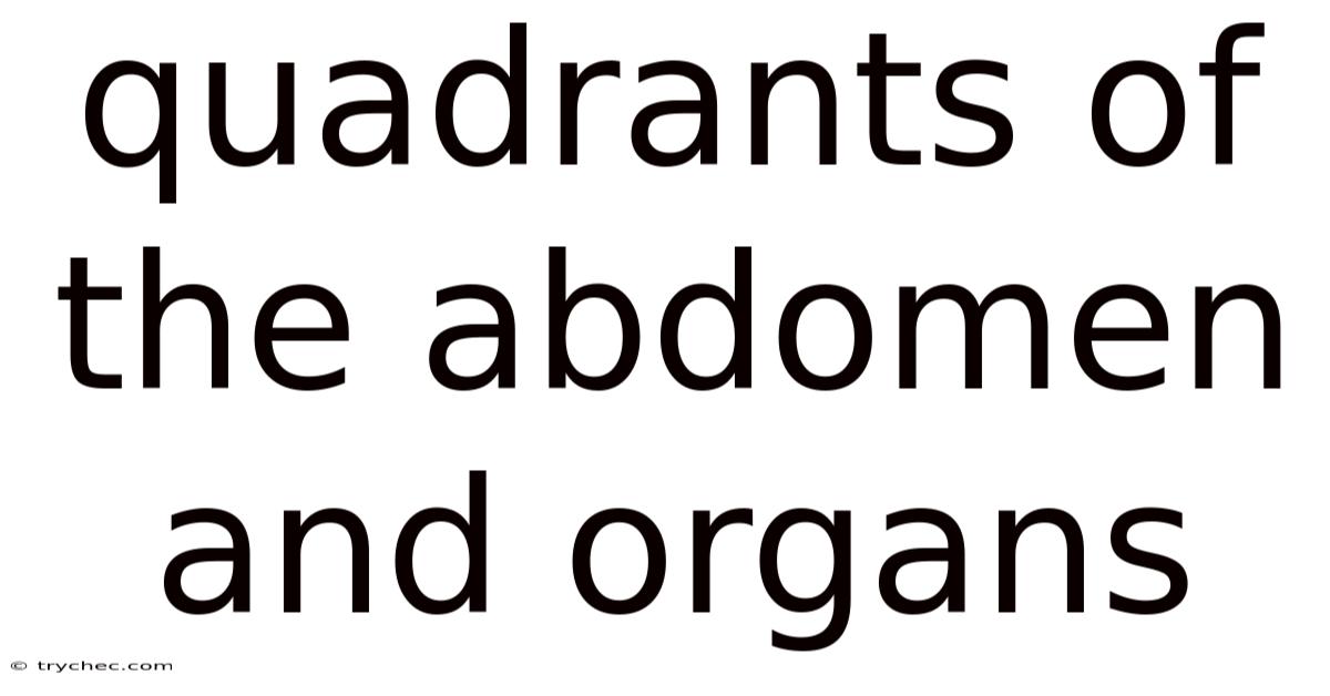 Quadrants Of The Abdomen And Organs
