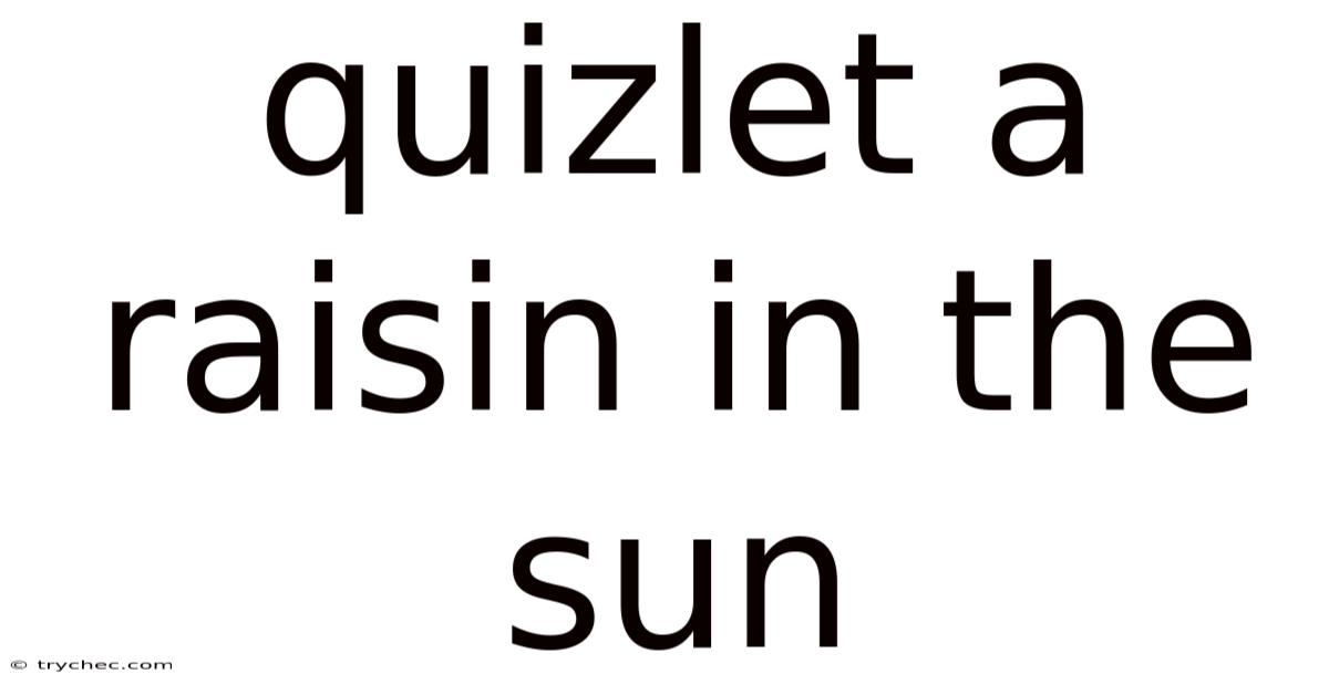 Quizlet A Raisin In The Sun