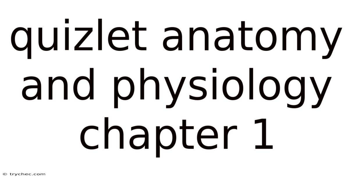 Quizlet Anatomy And Physiology Chapter 1