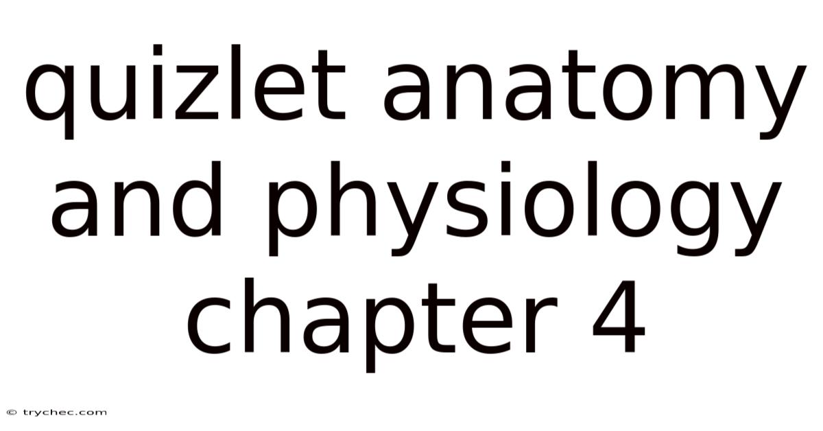 Quizlet Anatomy And Physiology Chapter 4