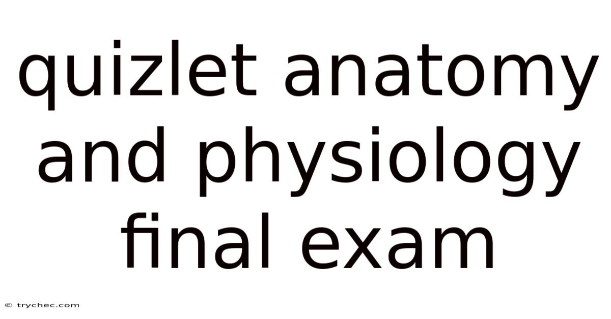 Quizlet Anatomy And Physiology Final Exam