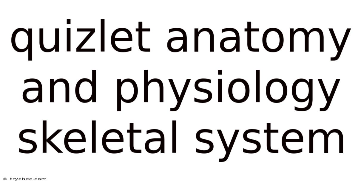 Quizlet Anatomy And Physiology Skeletal System