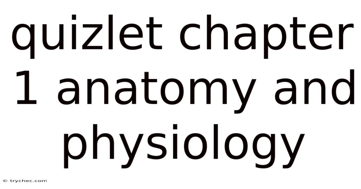 Quizlet Chapter 1 Anatomy And Physiology