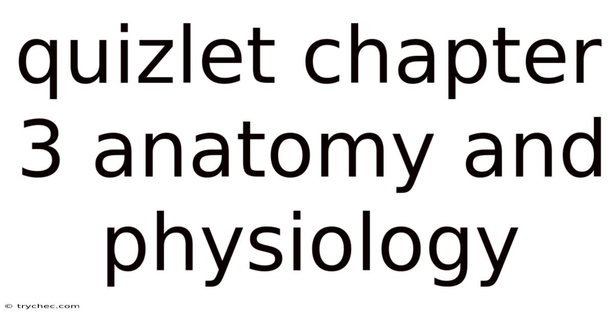 Quizlet Chapter 3 Anatomy And Physiology