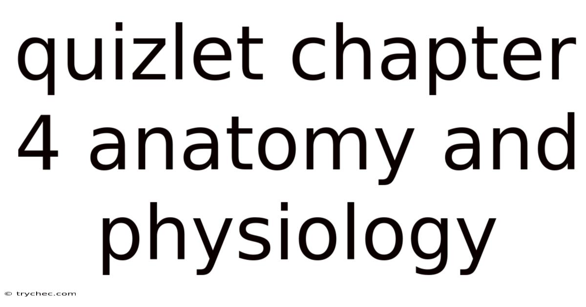 Quizlet Chapter 4 Anatomy And Physiology