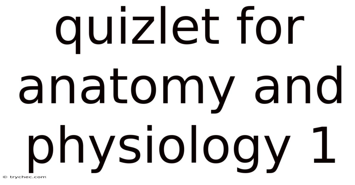 Quizlet For Anatomy And Physiology 1
