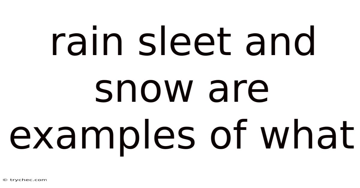 Rain Sleet And Snow Are Examples Of What