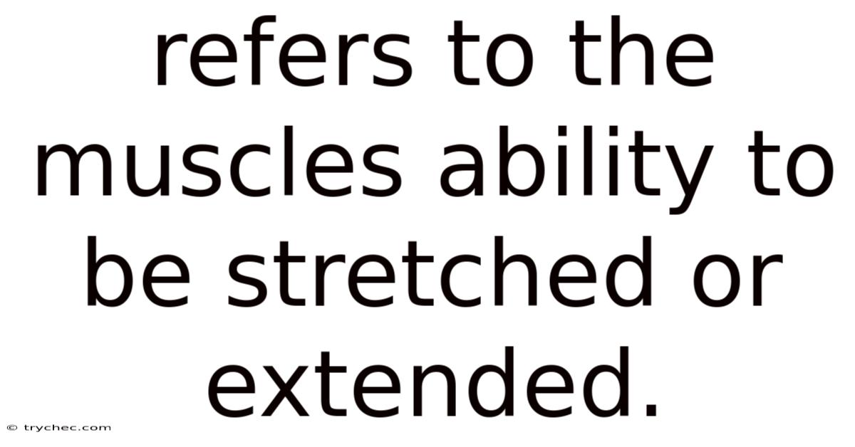 Refers To The Muscles Ability To Be Stretched Or Extended.