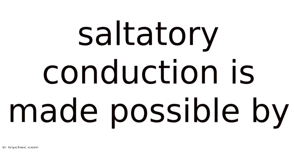 Saltatory Conduction Is Made Possible By