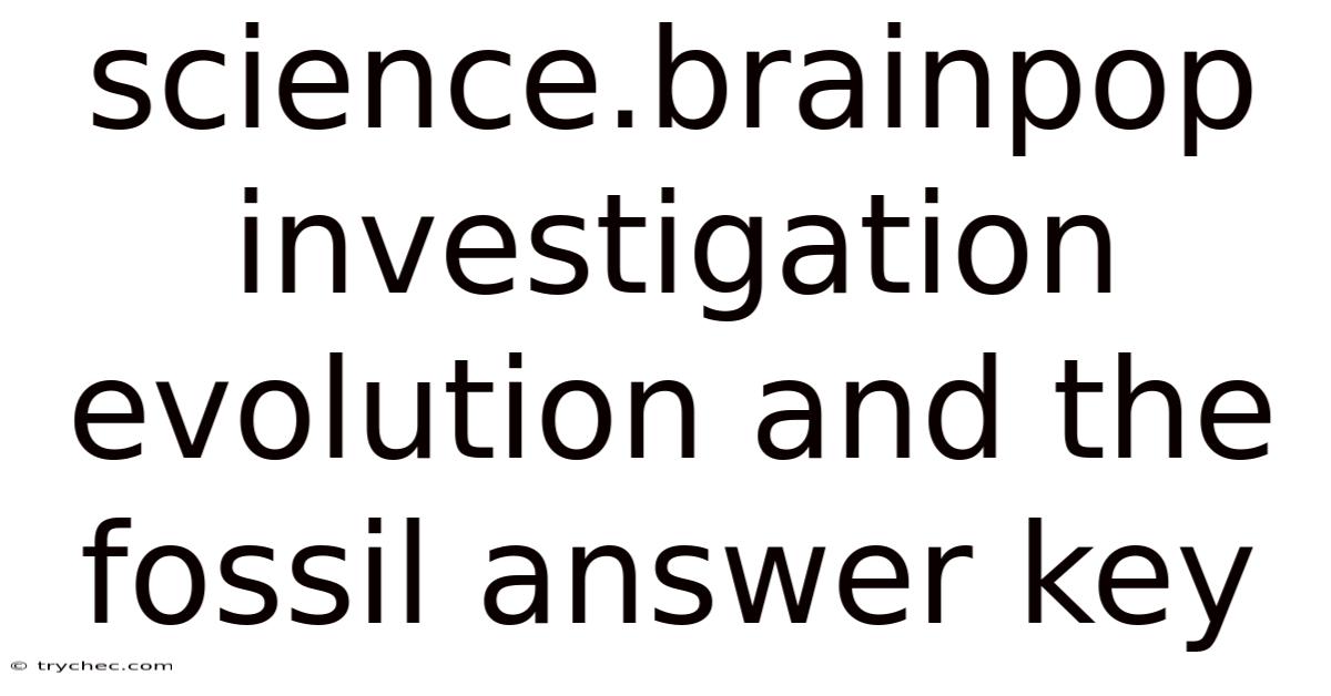 Science.brainpop Investigation Evolution And The Fossil Answer Key