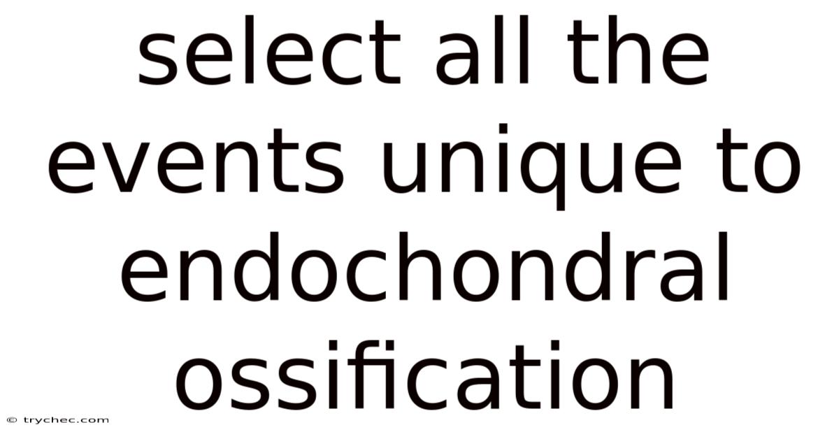 Select All The Events Unique To Endochondral Ossification