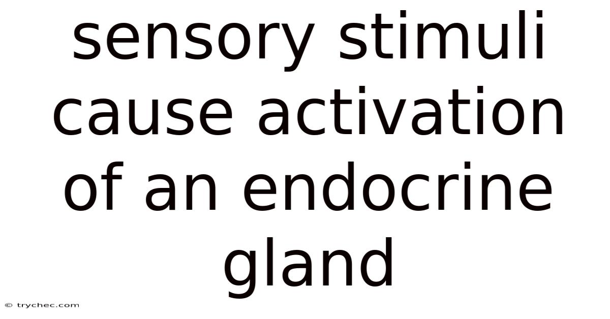 Sensory Stimuli Cause Activation Of An Endocrine Gland
