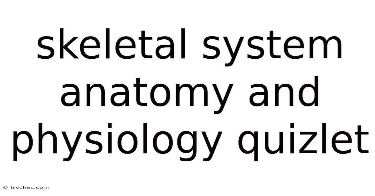 Skeletal System Anatomy And Physiology Quizlet