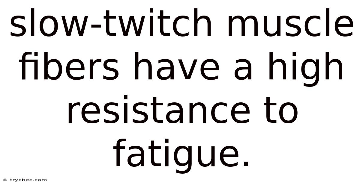 Slow-twitch Muscle Fibers Have A High Resistance To Fatigue.