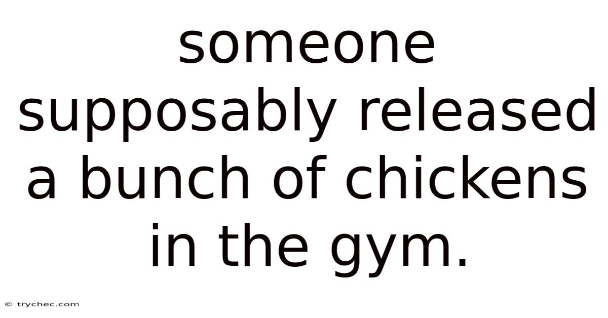Someone Supposably Released A Bunch Of Chickens In The Gym.