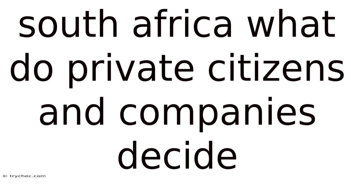 South Africa What Do Private Citizens And Companies Decide