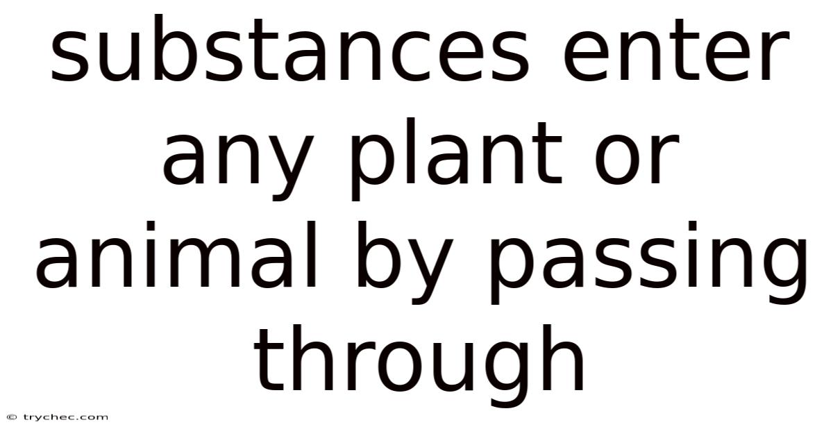 Substances Enter Any Plant Or Animal By Passing Through