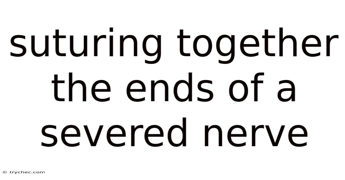 Suturing Together The Ends Of A Severed Nerve