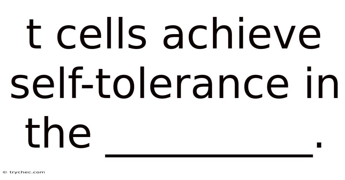 T Cells Achieve Self-tolerance In The __________.