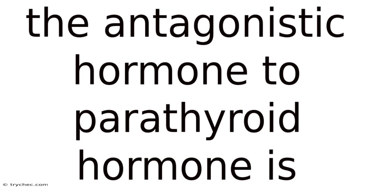 The Antagonistic Hormone To Parathyroid Hormone Is